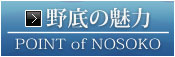 野底の魅力・ボタン