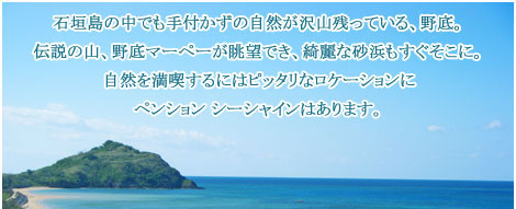 石垣島の中でも手付かずの自然が沢山残っている、野底。伝説の山、野底マーペーが眺望でき、綺麗な砂浜もすぐそこに。自然を満喫するにはピッタリなロケーションにペンションシーシャインはあります。